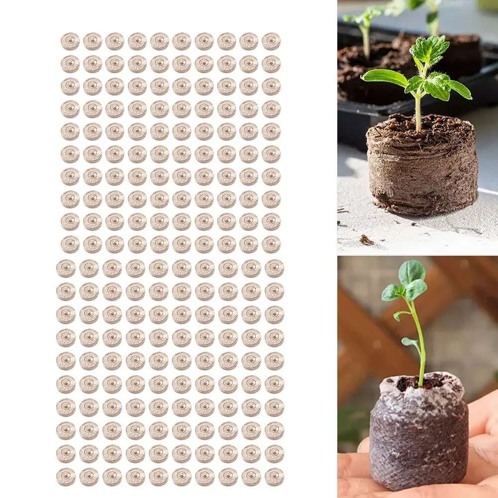 Substrate Coconut Fiber - 100pcs Compressed Coco Coir Pellets For