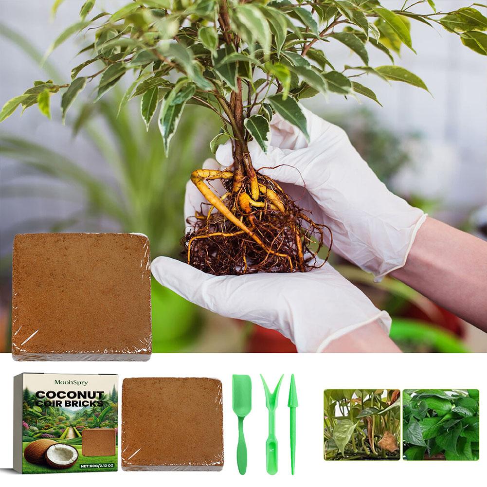Coconut Coir Fiber Brick - Org - Substrate Coconut Fiber ulasan dan harga